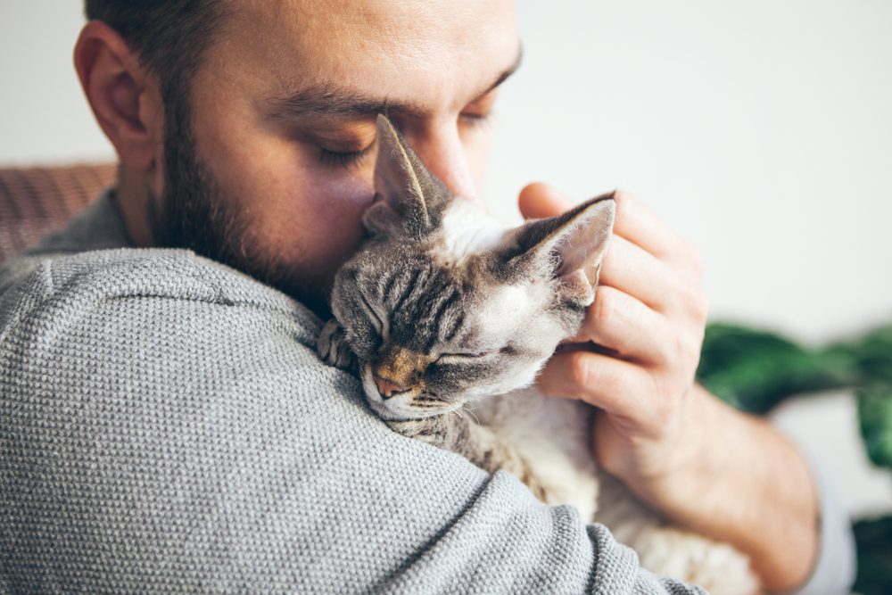 A man wearing a gray sweater snuggling a gray cat.