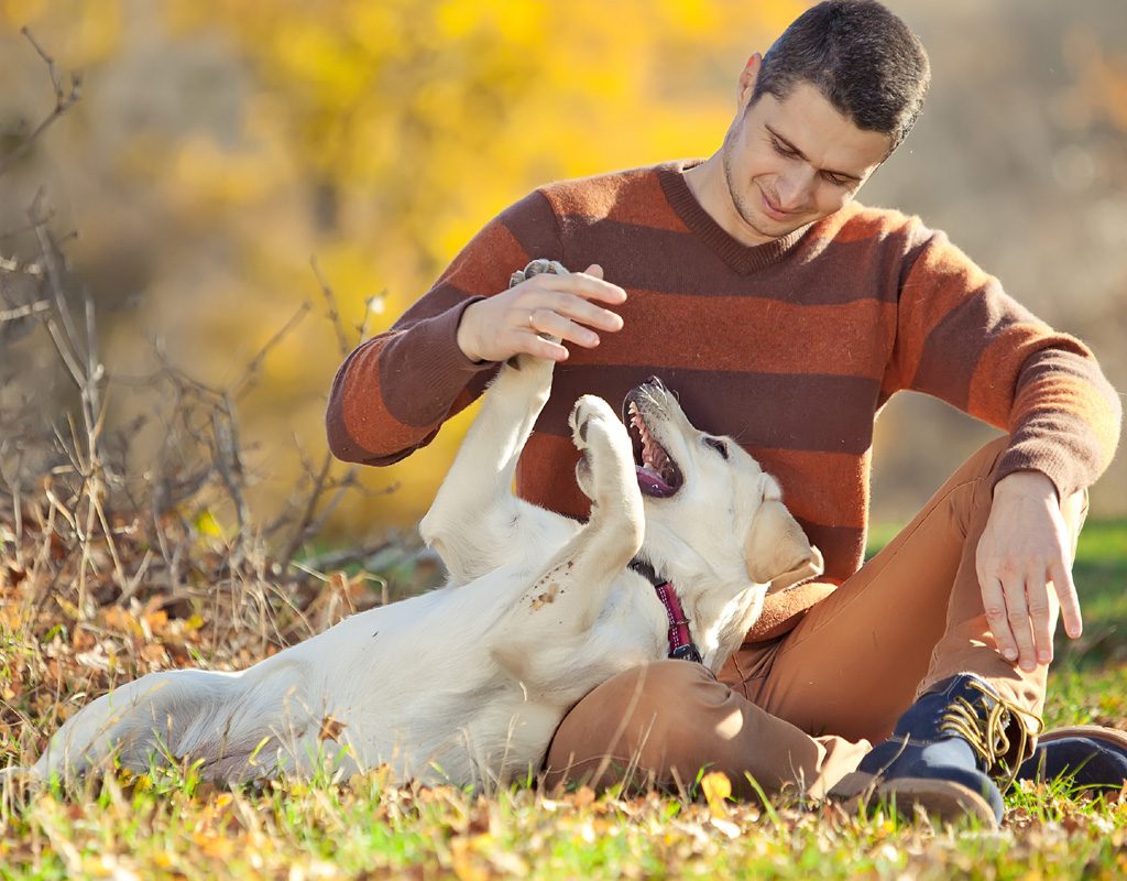 Man playing with a dog.