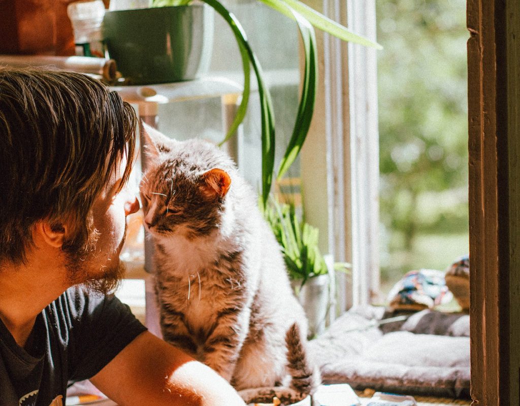 Man giving friendly head butt to cat.