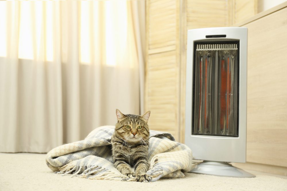A light brown tabby cat wrapped in a blanket next to a space heater.