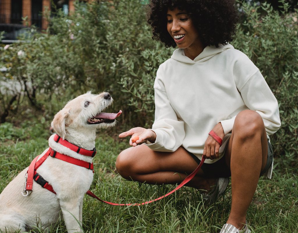 Woman giving a treat to her dog.