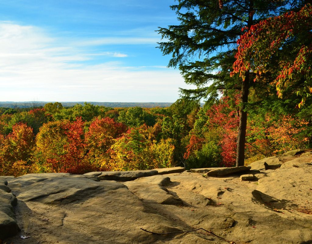 Fall colors in U.S. national park.