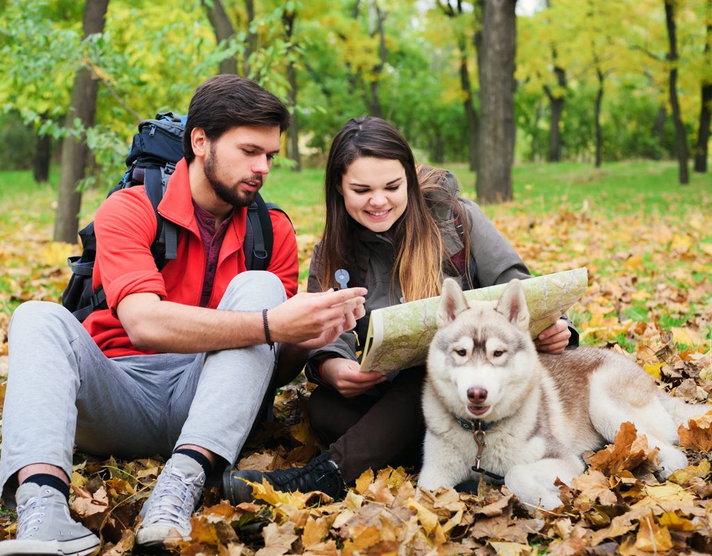 Couple looking at map on fall trail with dog.