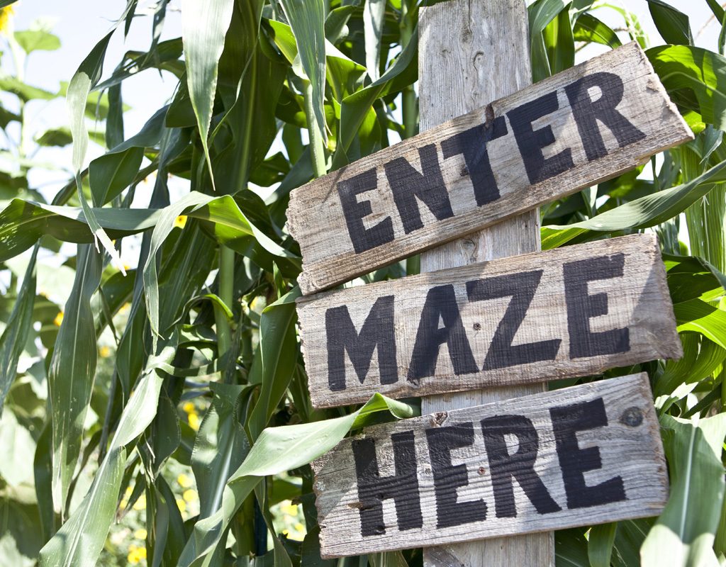 Sign at entrance of corn maze.