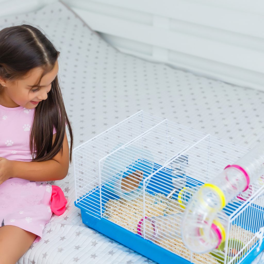 Girl sits beside hamster in cage