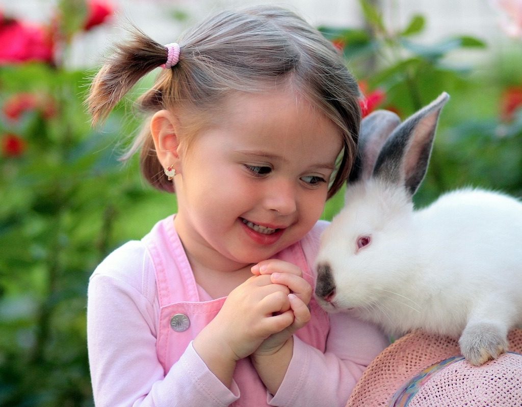Rabbit sits on a girl's shoulder