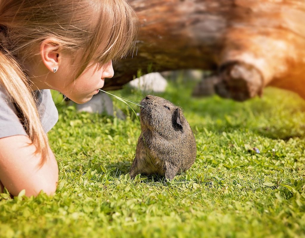 Girl with her guinea pig outside