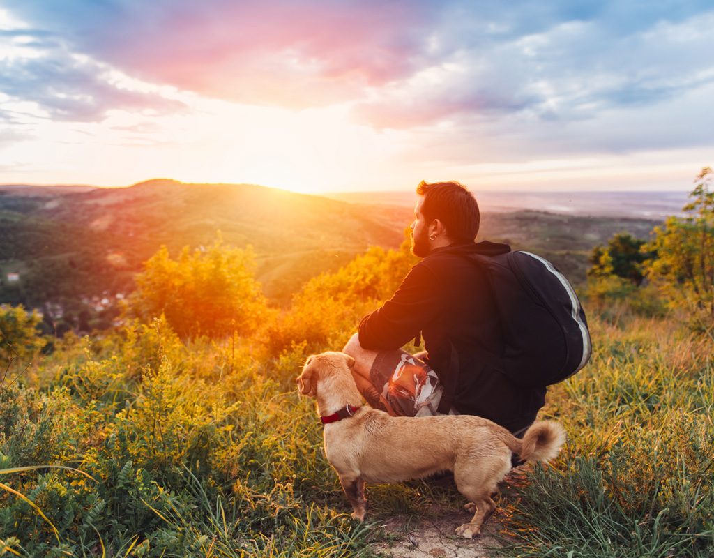 Man with dog on fall hike.