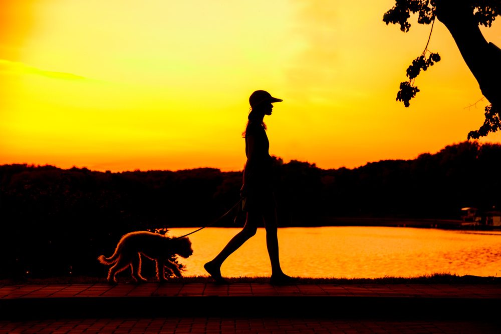 silhouette of girl walking her dog at sunset
