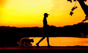silhouette of girl walking her dog at sunset