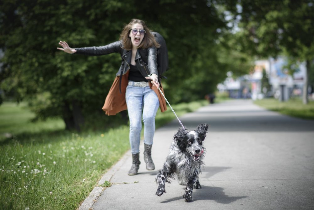 Dog on leash pulling woman
