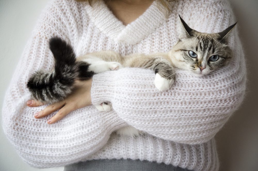 A woman in a white sweater holds a tabby cat in her arms