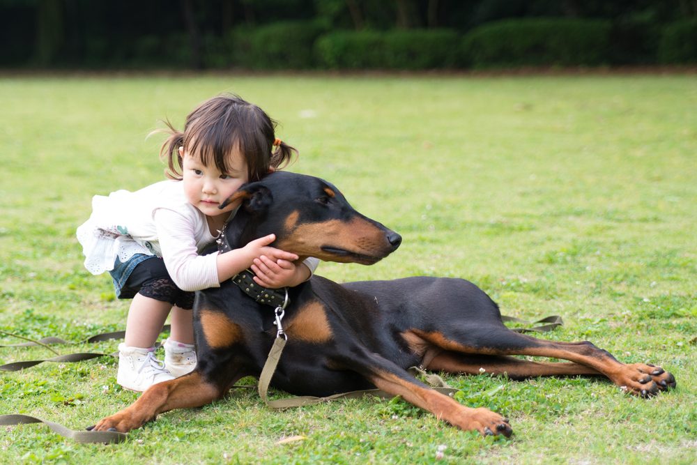 A young girl hugging a black and rust Doberman in a park.