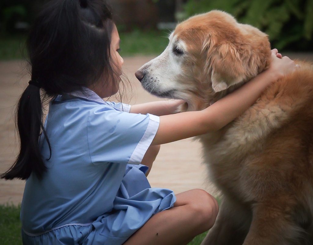 Young girl hugging elderly dog.