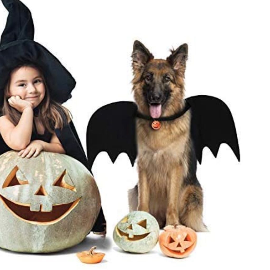 A German shepherd wearing bat wings sits next to a little girl in a witch costume