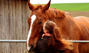 Girl kissing a chestnut horse on the cheek