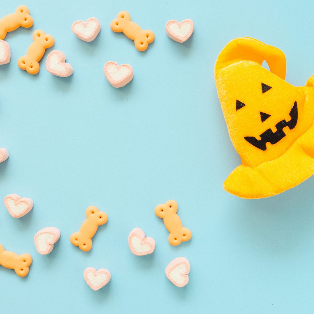 Dog treats spread out around a witch hat-shaped dog cookie