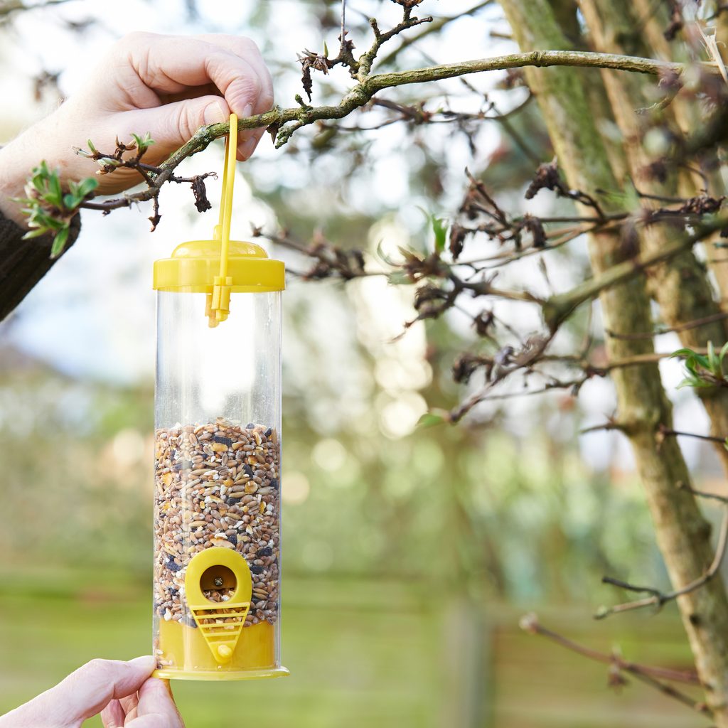 Man hangs a yellow bird feeder on a tree