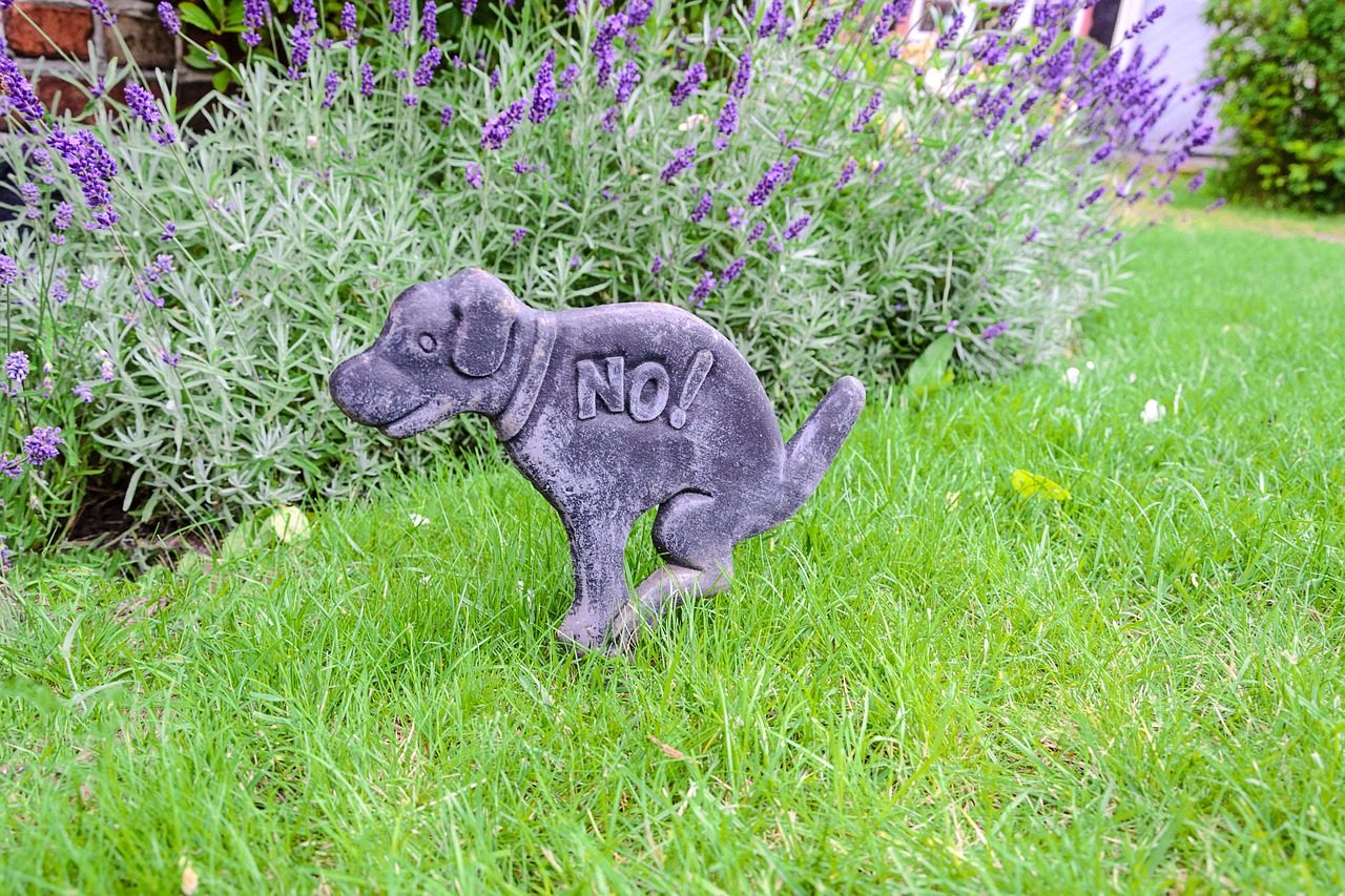 A pooping dog lawn ornament with "no" etched onto it in a yard.