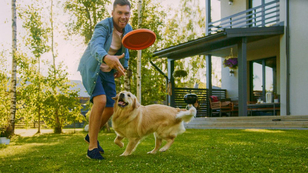 man playing frisbee with golden retriever