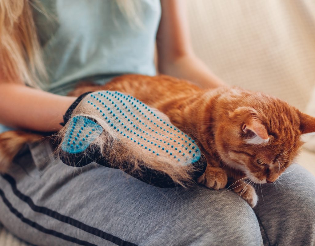 Woman grooming a cat on her lap using a grooming mitt