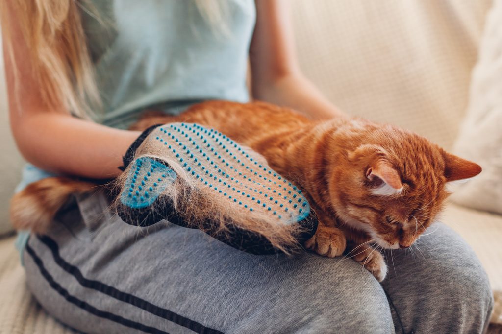 Woman grooming a cat on her lap using a grooming mitt