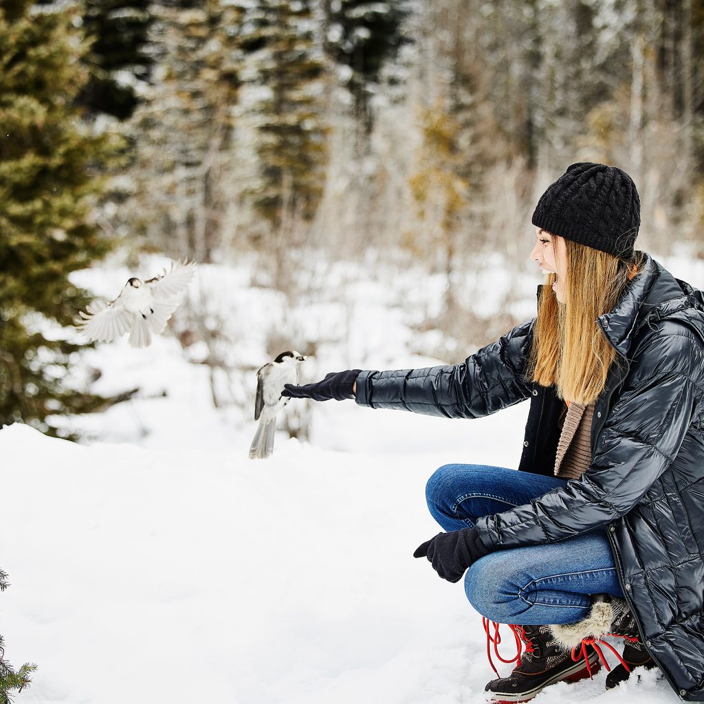 Bird lands into a woman's outstretched hand in winter
