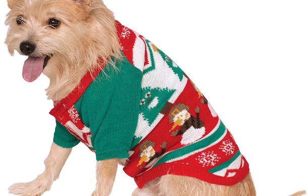 Colorful ugly Christmas sweater.