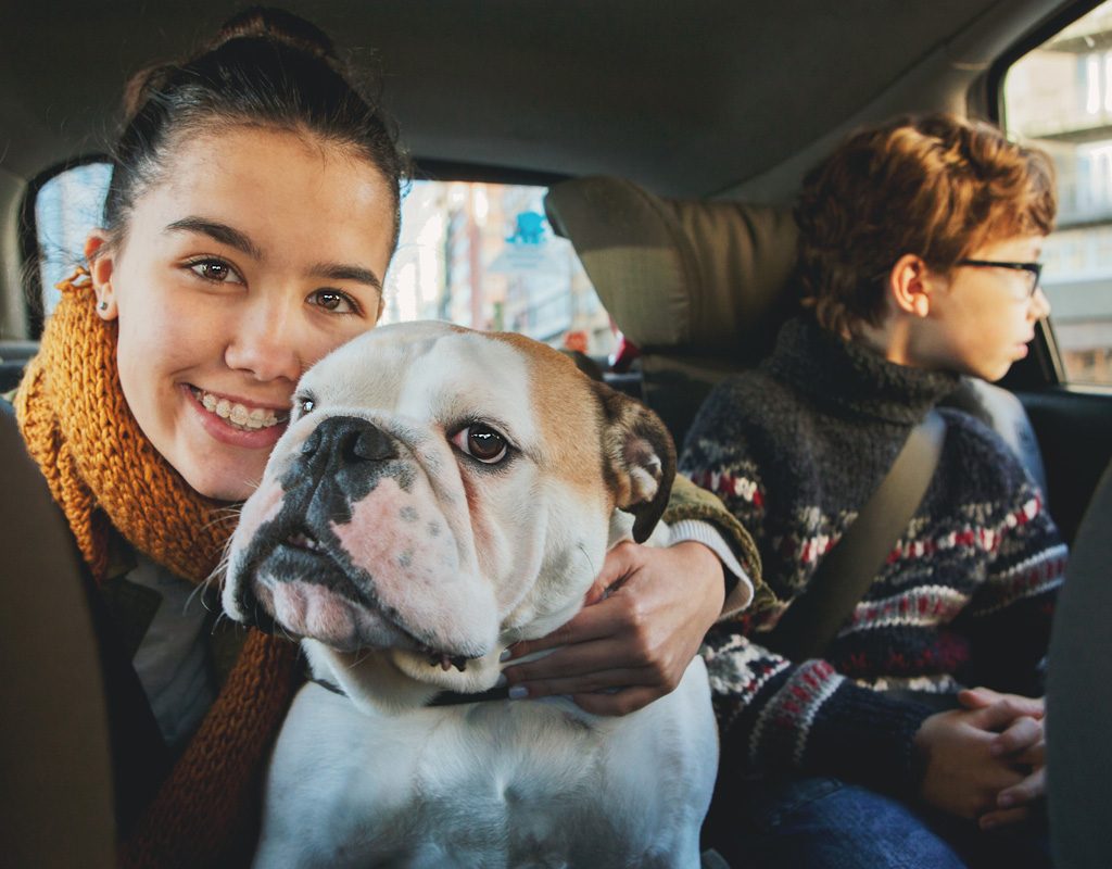 Dog in back of car with kids.