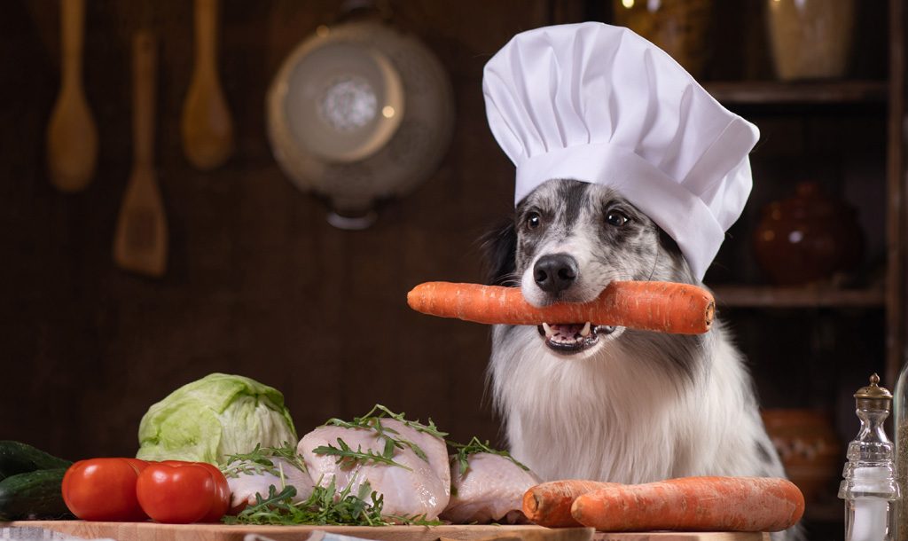 Dog in chef's cap with carrot in his mouth.