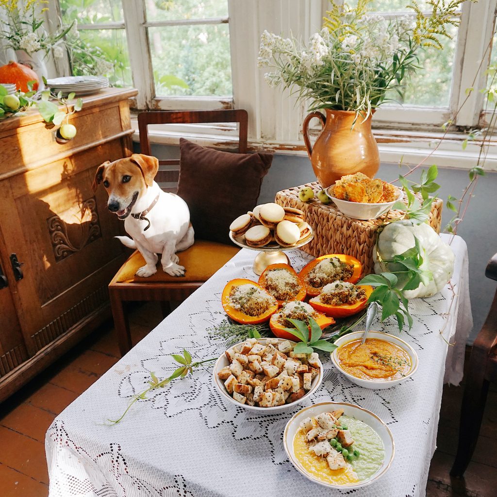 A dog sits on a chair next to a dining room set for Thanksgiving