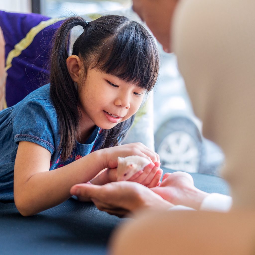 Girl holds her hamster in her hands