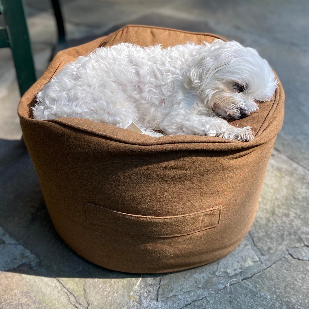 a Maltese sleeps on a round pillow