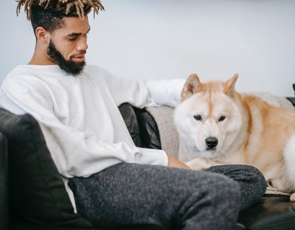 Man petting dog on couch