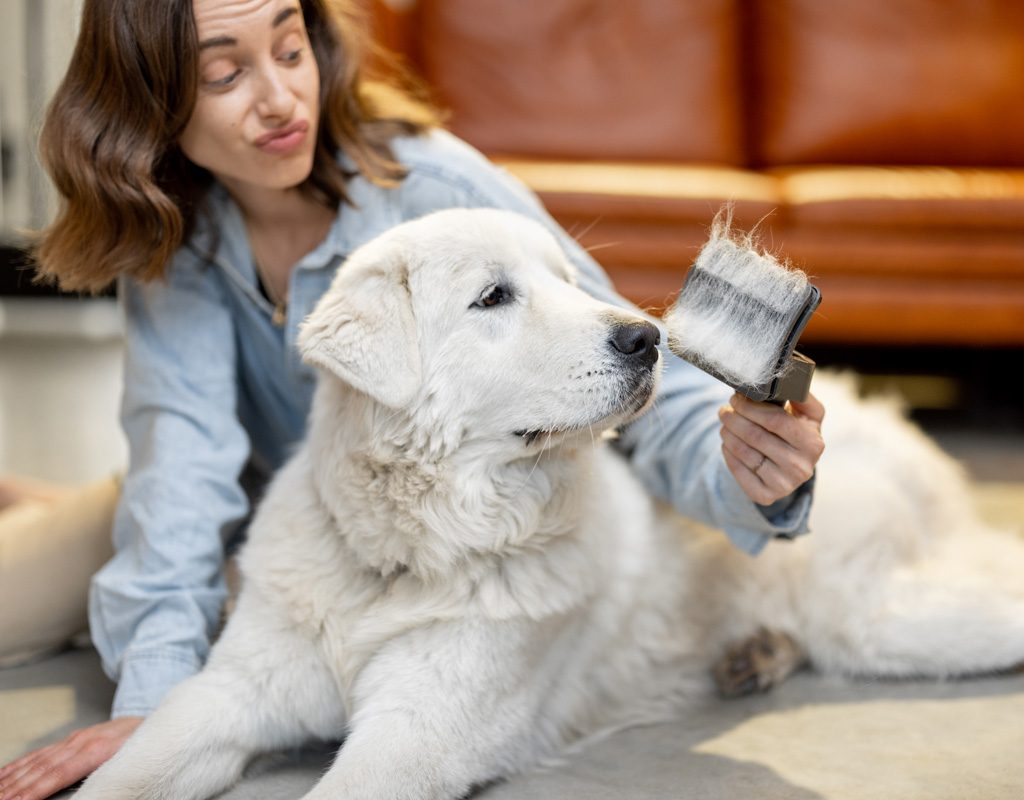 Woman brushing dog.