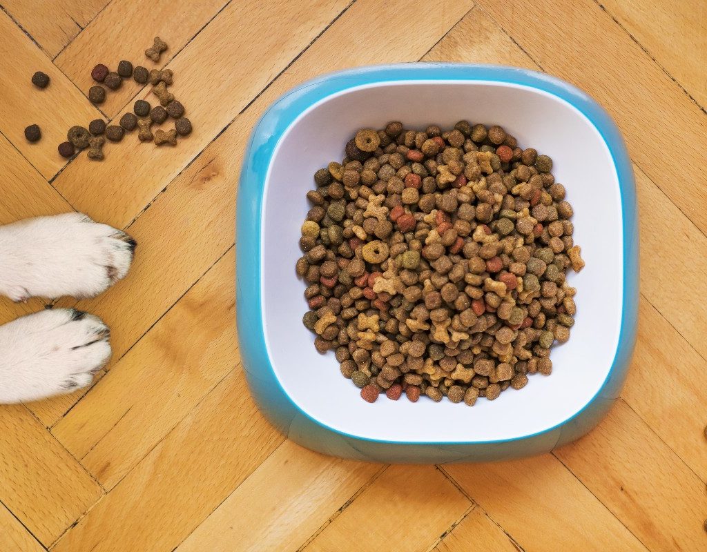 a bowl of kibble with dog paws on wooden floor