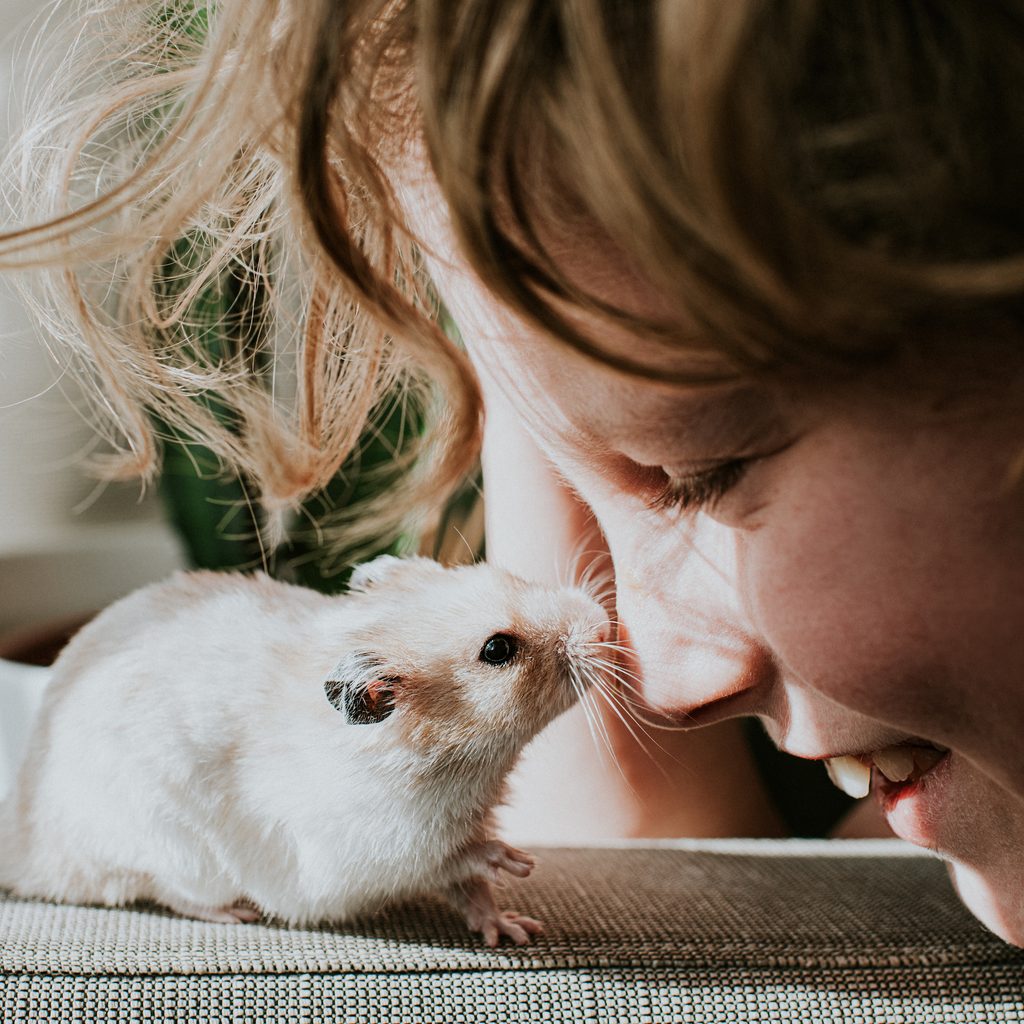 Boy smiles at his little happy hamster