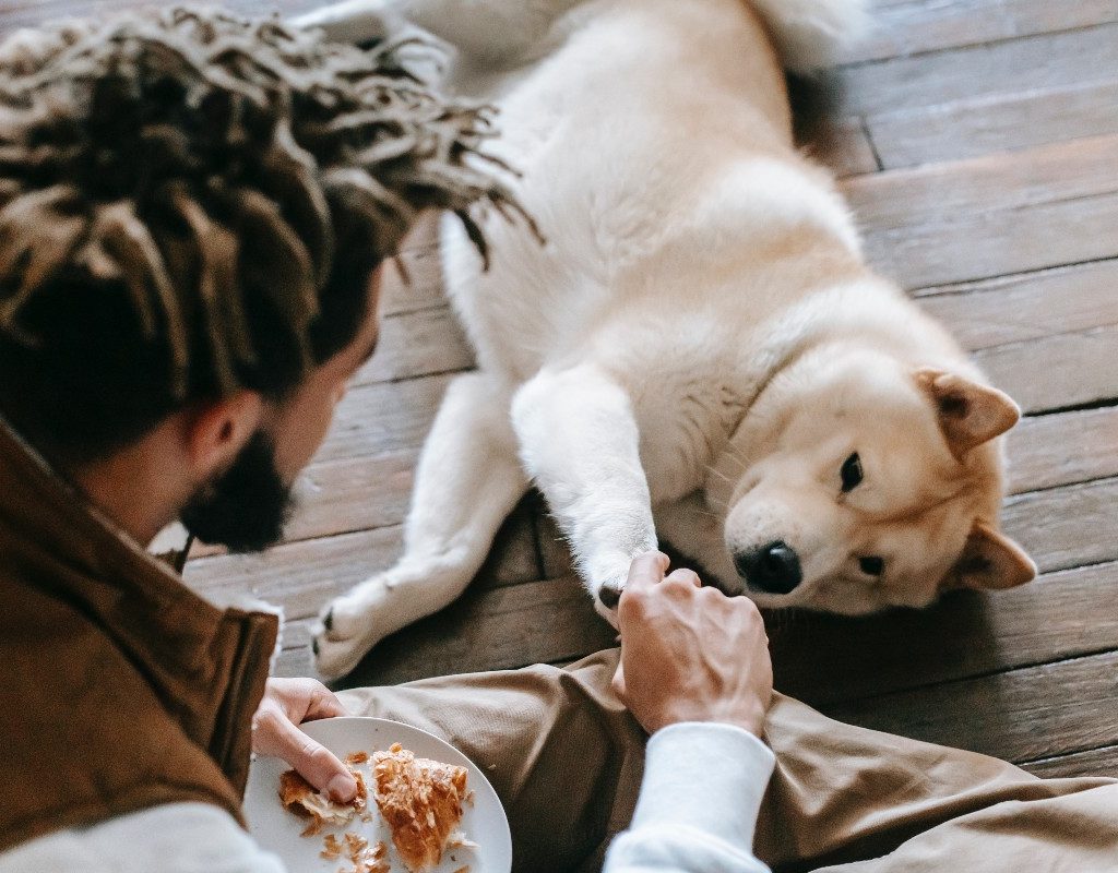 a dog lying on the floor next to a man with food