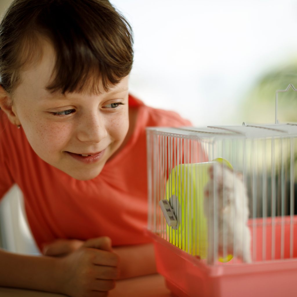 Girl plays with her hamster in his cage