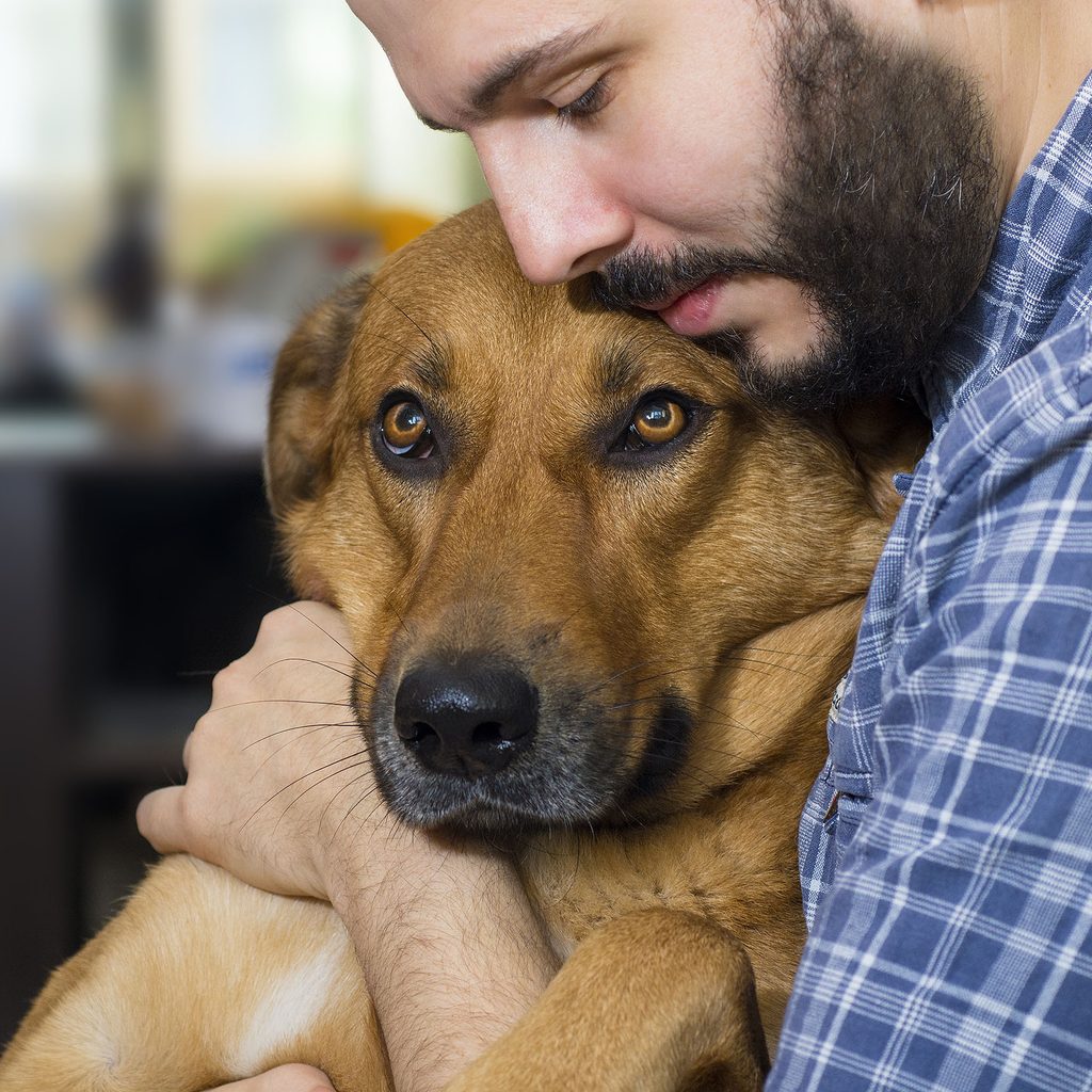 Man in a plaid shirt hugging his dog