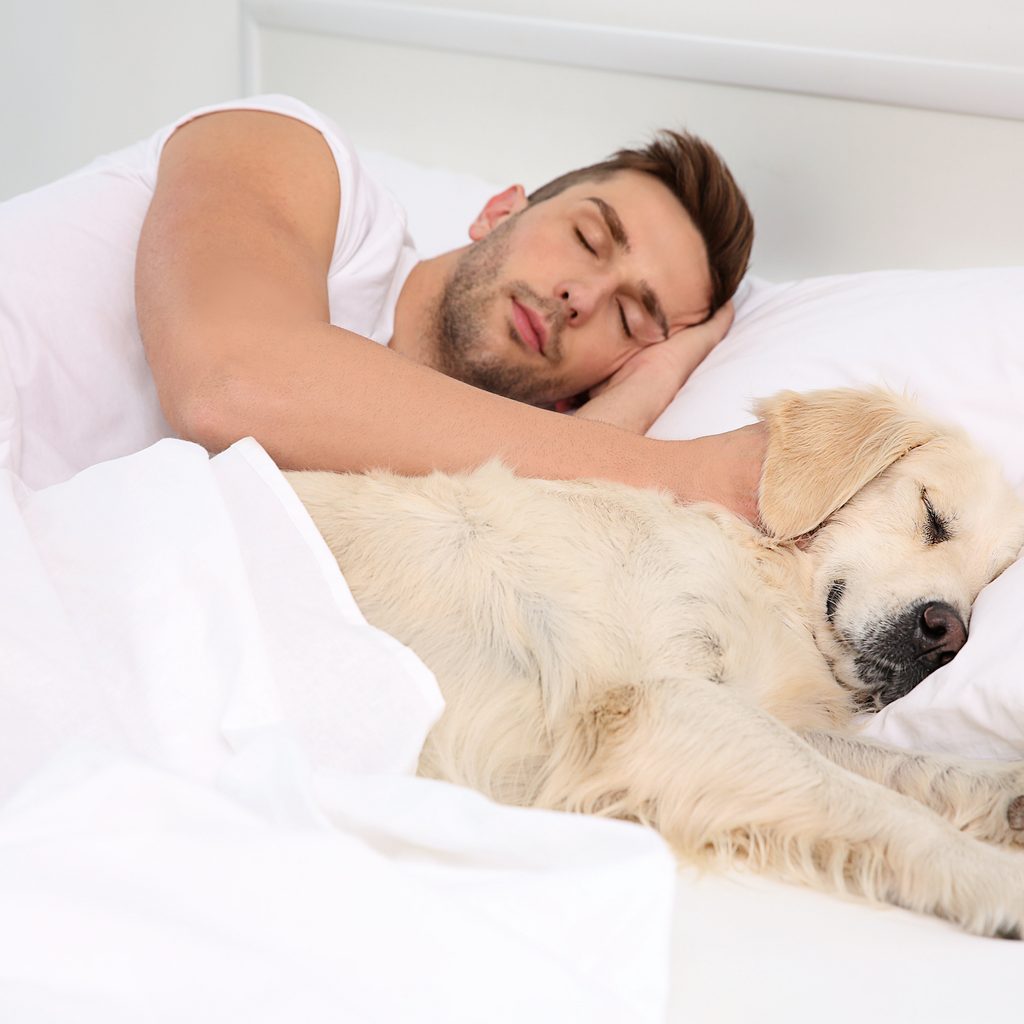 A man and his dog sleep side by side in bed