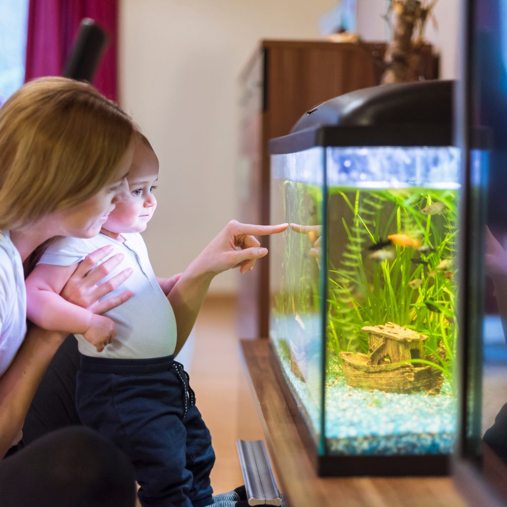 Mom and baby look into fish tank