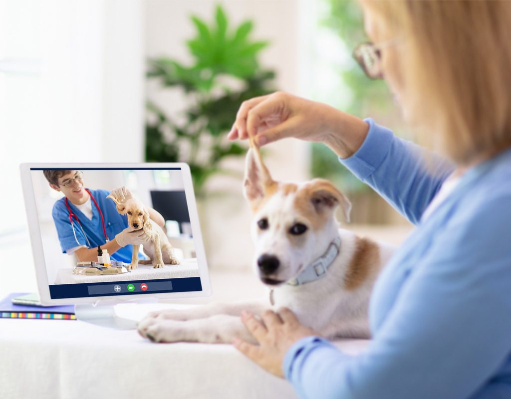 telemedicine for pets