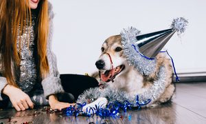 new years resolutions smiling red haired girl celebrating the year with her big