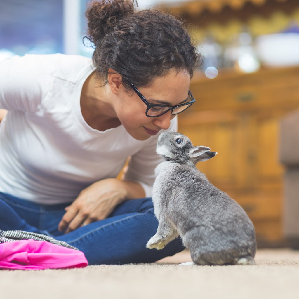 Woman folds laundry while playing with pet rabbit