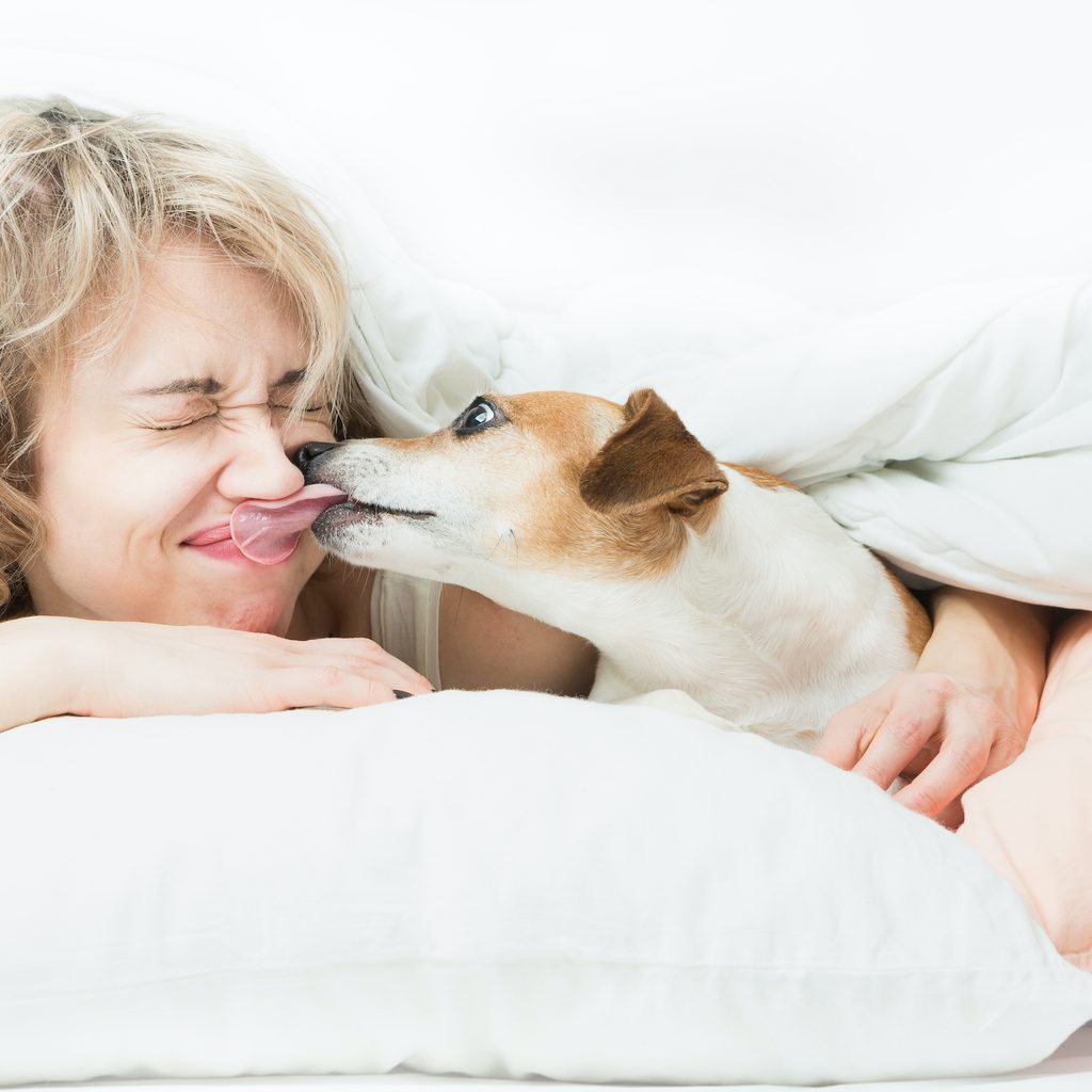 A dog licks a woman on the face as they lie under the covers in bed