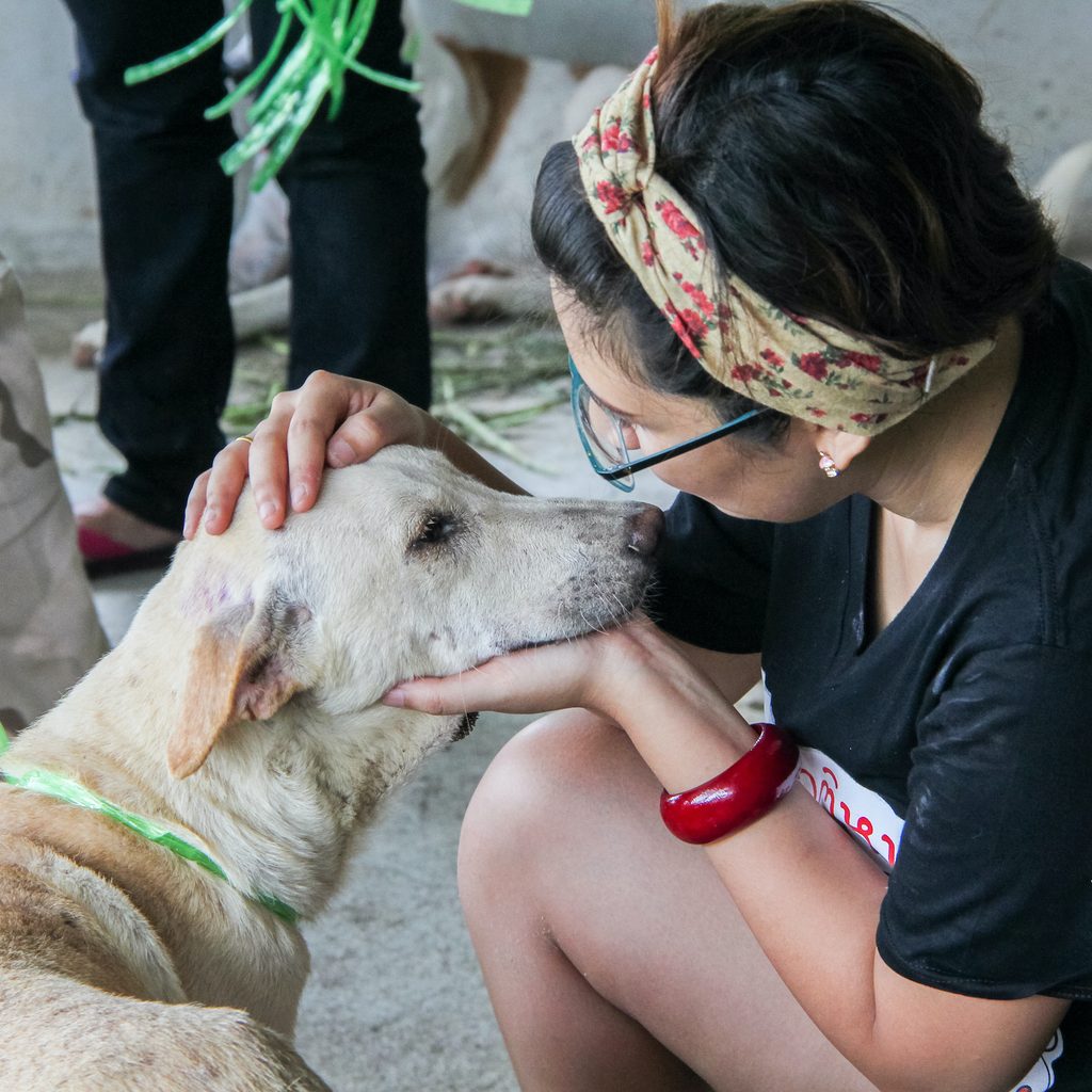 Woman pets and comforts a homeless dog on street