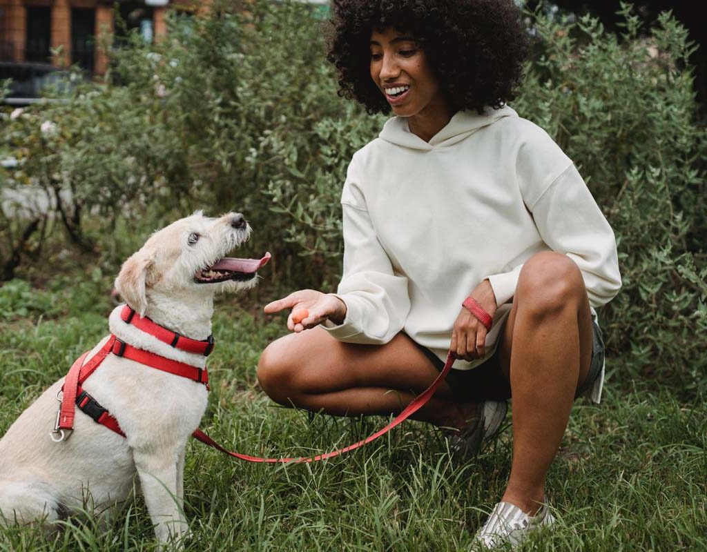 Woman petting dog outdoors.