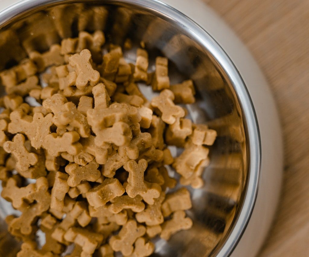 A bowl of bone-shaped dog food