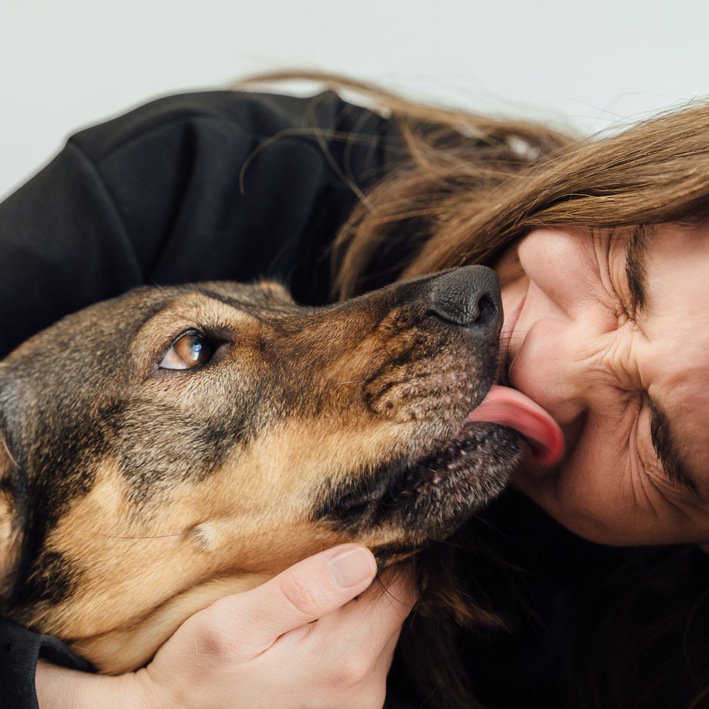 A brown dog licks a woman's face as she holds the dog